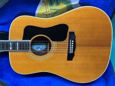 Guild D-55 NT_2