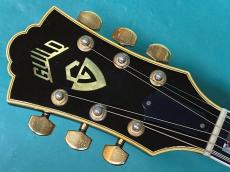 Guild D-55 NT_5