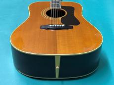 Guild D-55 NT_11