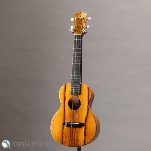 G String T4 Plain SH Tenor