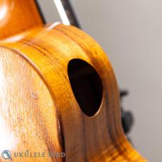 G String T4 Plain SH Tenor_10