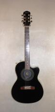 Epiphone CHET ATKINS  SST CUSTOM