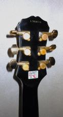 Epiphone CHET ATKINS  SST CUSTOM_4