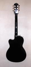 Epiphone CHET ATKINS  SST CUSTOM_5
