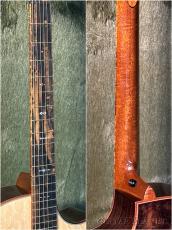 Taylor 【Andy Powers Selection】BTO Custom GA Quote#13260 -Figured Indian Rosewood- #1207146099 _8