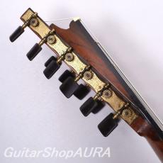 Georg Bolin　［ゲオルグ・ボーリン］ 11弦 Altoギター ‘Visan’_8