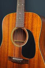 Martin D-25K2_3
