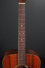 Martin D-25K2_7