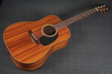 Martin D-25K2_10