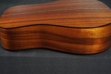 Martin D-25K2_16