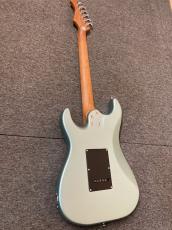 Bacchus GS-2DX RSM/M IBM_2