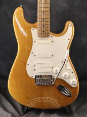 Fender USA American Standard Stratocaster Mod