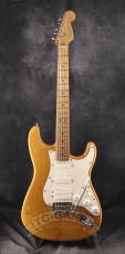 Fender USA American Standard Stratocaster Mod_3