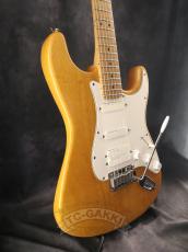 Fender USA American Standard Stratocaster Mod_4