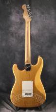 Fender USA American Standard Stratocaster Mod_7