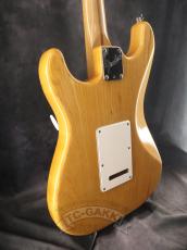 Fender USA American Standard Stratocaster Mod_8