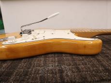 Fender USA American Standard Stratocaster Mod_11