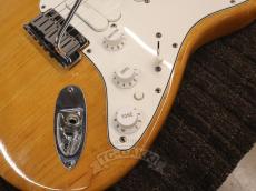 Fender USA American Standard Stratocaster Mod_12