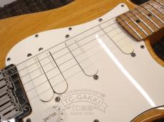 Fender USA American Standard Stratocaster Mod_14
