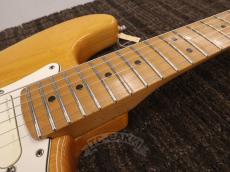 Fender USA American Standard Stratocaster Mod_15