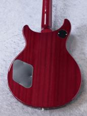 Epiphone 【特選中古セール】Tak Matsumoto DC Standard Plus Top -Cherry- 【2011'USED】_8
