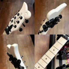 Edwards ES-100PRIII_3