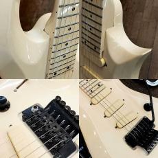 Edwards ES-100PRIII_5