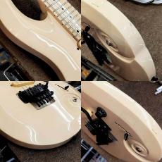 Edwards ES-100PRIII_6