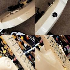 Edwards ES-100PRIII_7