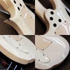 Edwards ES-100PRIII_8