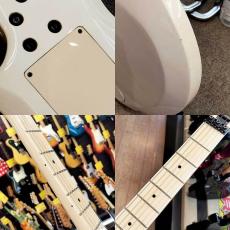 Edwards ES-100PRIII_9