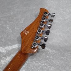 Kz Guitar Works Kz TL Trad 22 2H5 / TV Black_6