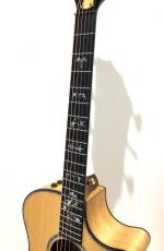 Taylor Custom GAce Lutz Spruce / Sassafras_4