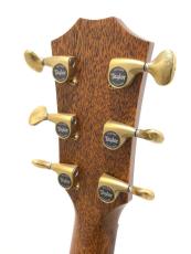 Taylor Custom GAce Lutz Spruce / Sassafras_7