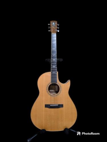 Larrivee C-10 Flying Eagle  カナダ期のフラッグシップモデル