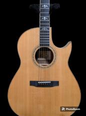 Larrivee C-10 Flying Eagle  カナダ期のフラッグシップモデル_2