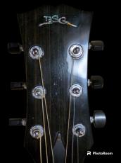 BSG J-27 CF Rosewood_8