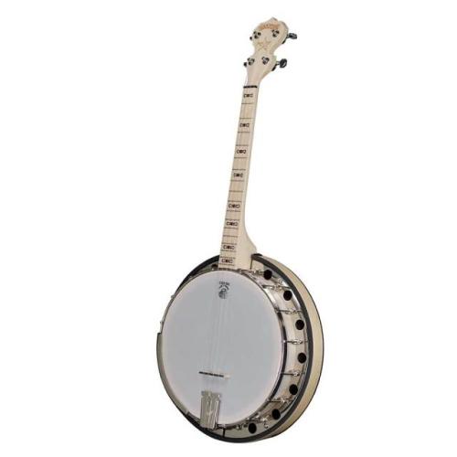 Deering  GOODTIME2-17 Goodtime2 Resonater Tenor Banjo 17F 　テナーバンジョー　マイク搭載! 【　ディーリング　PU搭載　グッドタイム　】　