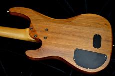 Aria Custom Shop MAB-024D_4