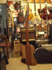 Gibson Firebird Zebrawood(2007)_3