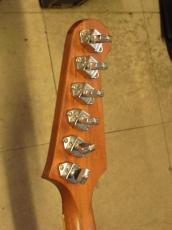 Gibson Firebird Zebrawood(2007)_6
