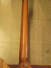 Gibson Firebird Zebrawood(2007)_7