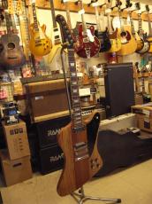 Gibson Firebird Zebrawood(2007)_8
