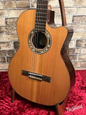 Orpheus Valley Guitars オルフェウス・ヴァレー・ギターズ Model: Verea_3