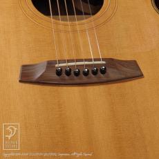 夢弦堂 OM Cutaway (Cocobolo)_11