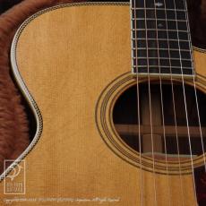 Franklin OM Cutaway_12
