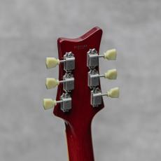 TOM HOLMES THC Standard Cherry Sunburst / 2010's_10