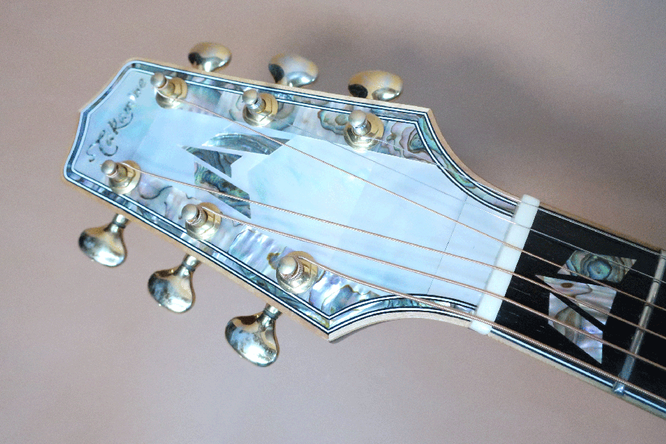 Takamine TSS-50 / Flagship Model・Head Abalone Inlay・Solid