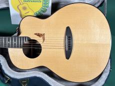 aNueNue aNN-LS700_2