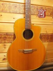 Takamine TDP610N 【2007年製】